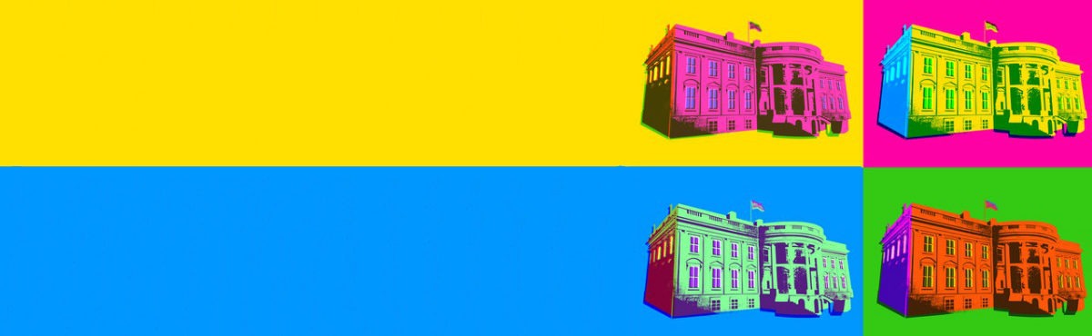 public sector experience