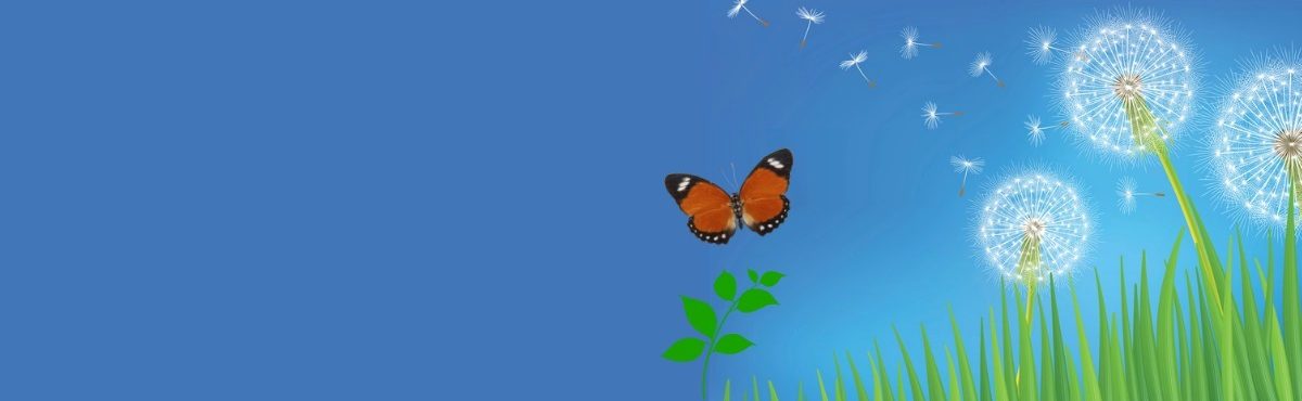 image of a butterfly over a green field, representing sustainable business practices.
