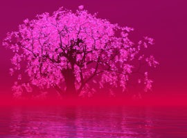 Integrated-experience_FTR