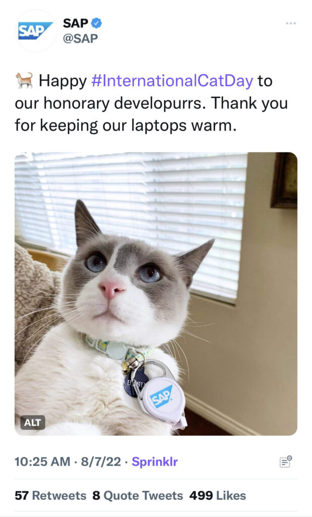 Image of tweet from SAP showing a cat and using the hashtag International Cat Day