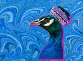 Peacock wearing a crown with a pink shadow, representing our best omnichannel content.